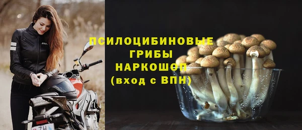 марки nbome Ельня
