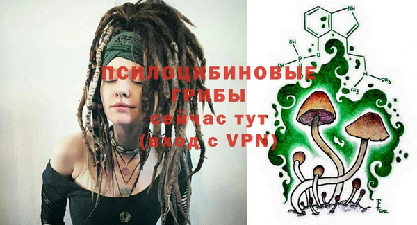 марки nbome Ельня