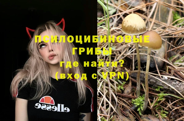 MESCALINE Елабуга