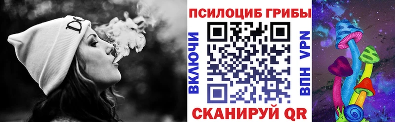 Купить где Лянтор Галлюциногенные грибы Psilocybe